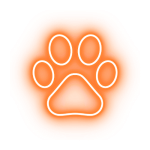 Pet grooming Custom websites for businesses in Torrance